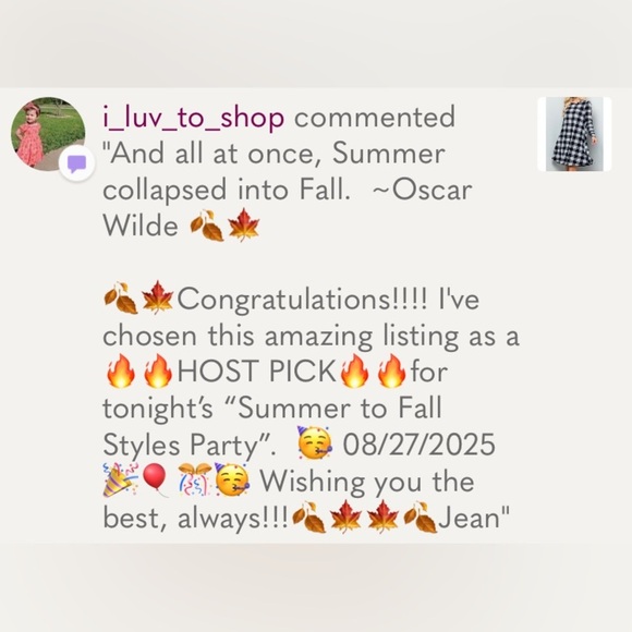 SUNDAY MORNING Buffalo check long sleeve swing tunic dress neutral fall winter - Picture 7 of 7